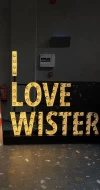 WISTER ® ويستر