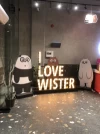 WISTER ® ويستر