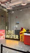 WISTER ® ويستر