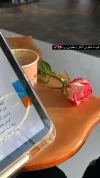 ذي فلاور كب | The Flower cup