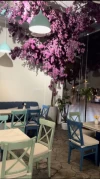 Hampila Cafe هامبيلا