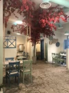 Hampila Cafe هامبيلا